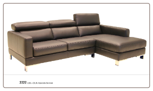 2222 Sectional (Multiple Colors) by J&M Furniture